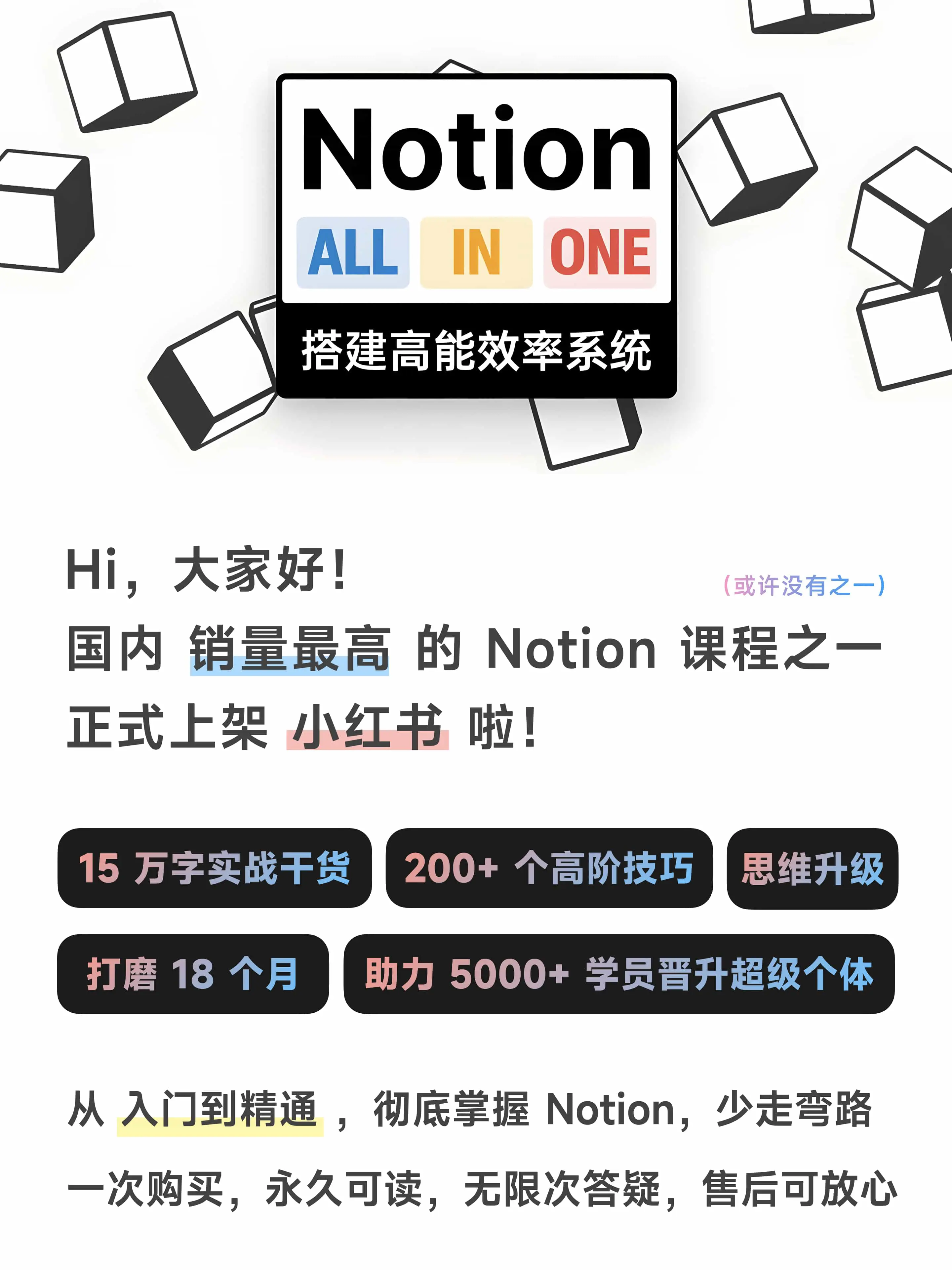 我的 Notion 中文系统课程｜2024 最新介绍插图1